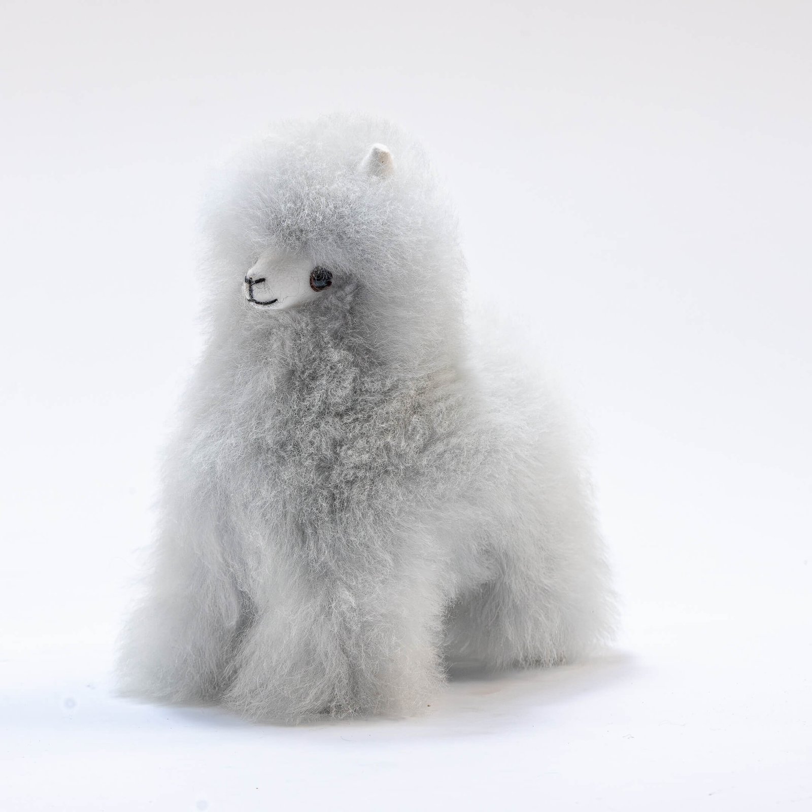 Standing Alpaca B 8" - 6 Pack - Image 2