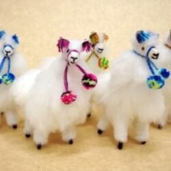 mini-llamitas-12-pack