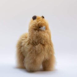 standing-alpaca-12-3pack