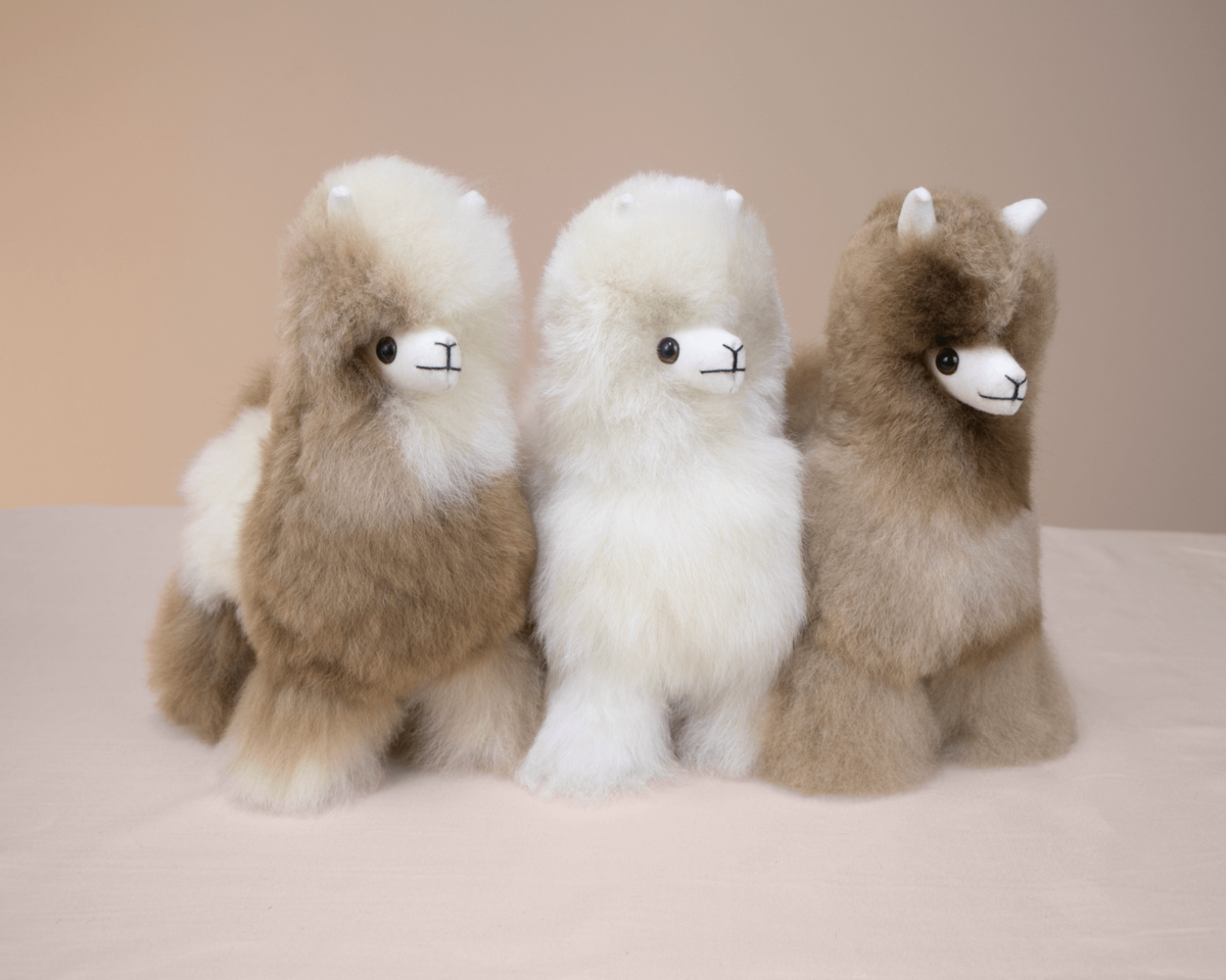 Standing Alpaca B 8" - 6 Pack - Image 2