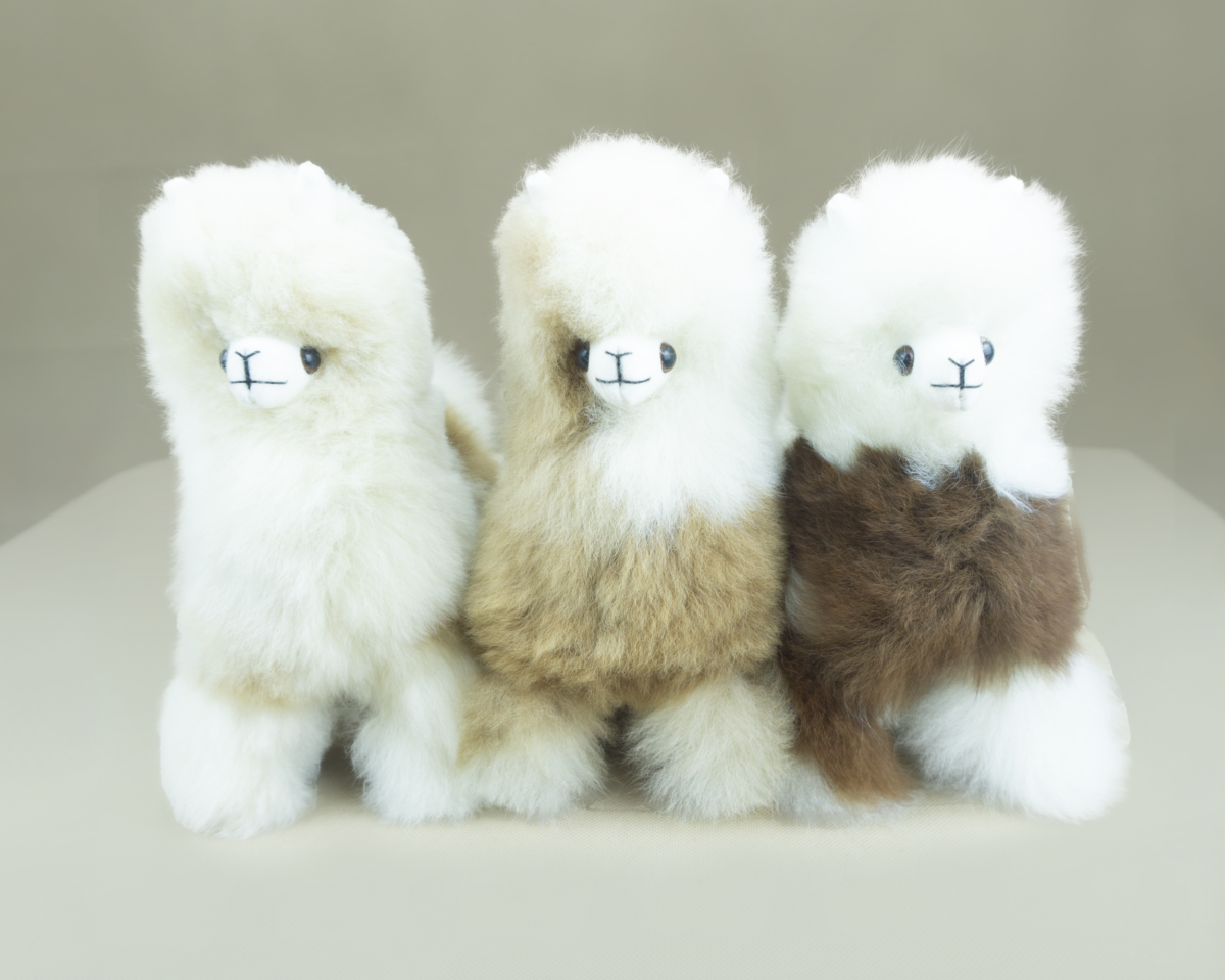 Standing Alpaca B 8" - 6 Pack - Image 3