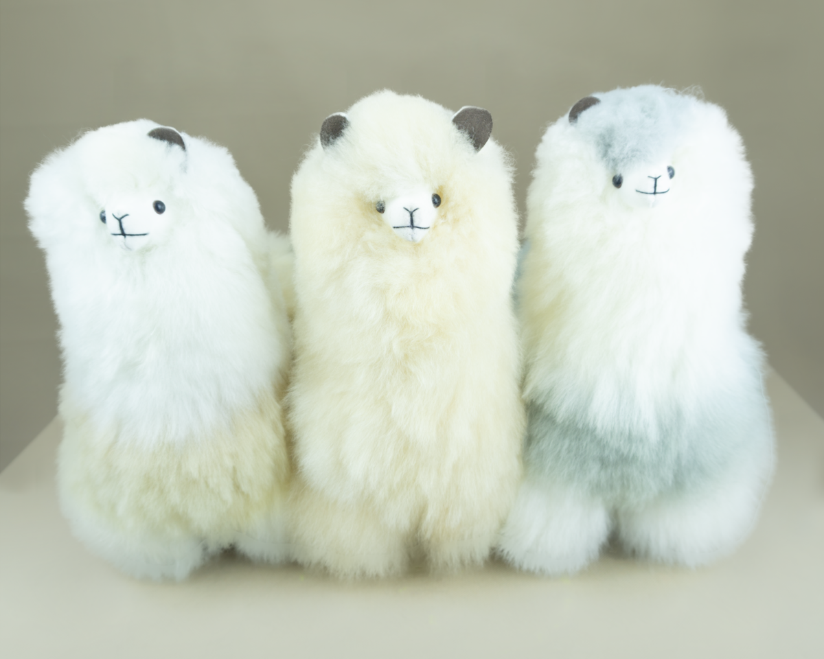 Standing Alpaca 12"-3 Pack - Image 2
