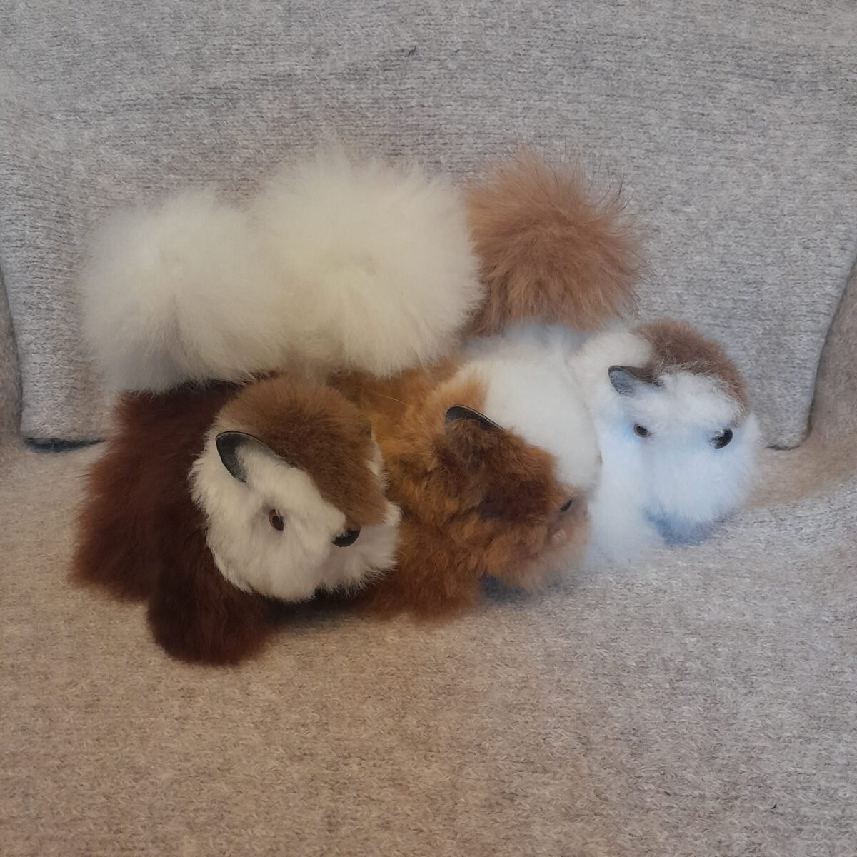 Alpaca Little Squirel - 3 Pack