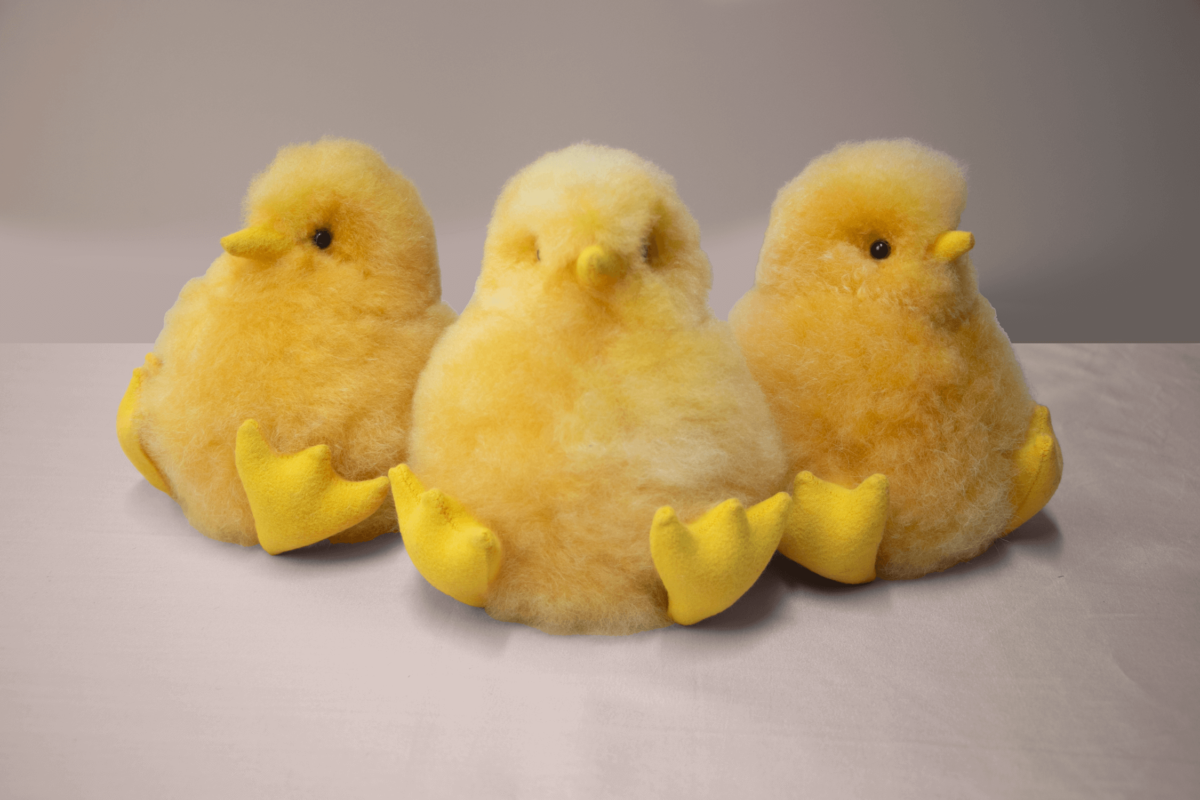Little Yellow Chicken - 3 Pack - Image 2