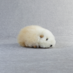 alpaca-guinea-pig-7-6pack