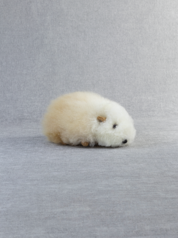 Alpaca Guinea  Pig 7" - 6 Pack