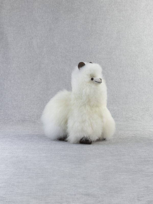 STANDING ALPACA C8-6PACK