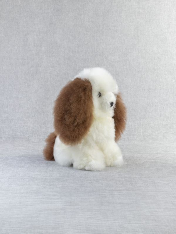 Alpaca Dog - 3 Pack