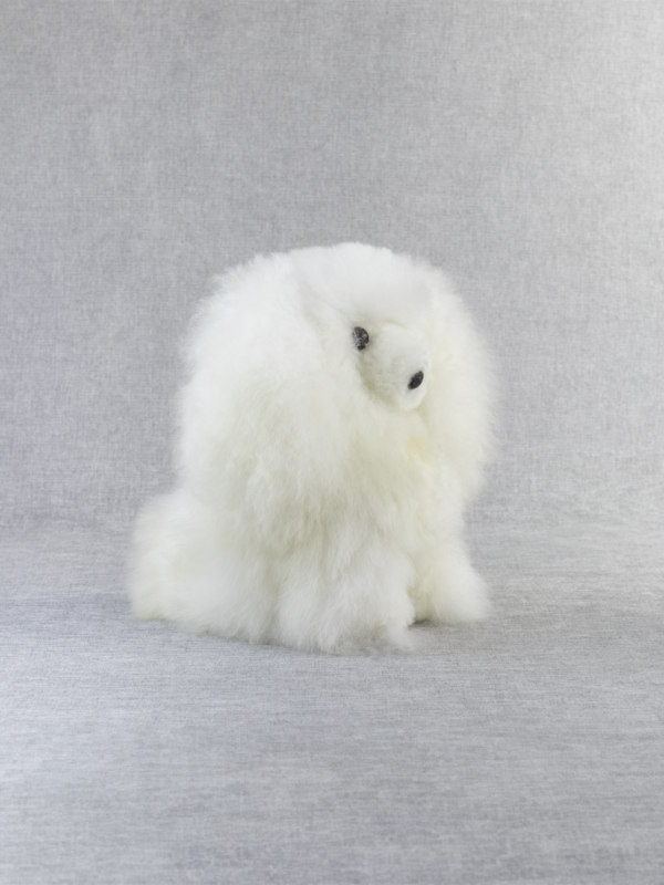 Alpaca Dog - 3 Pack - Image 3