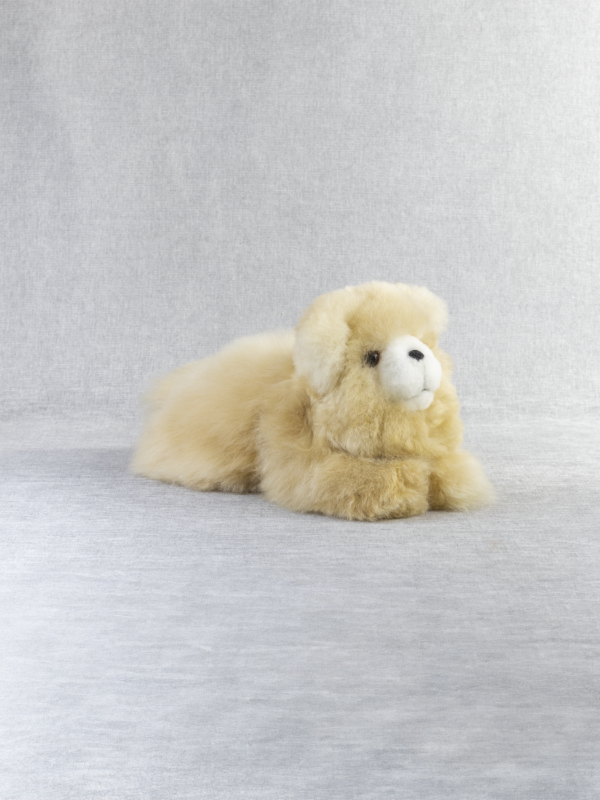 Alpaca Cat - 3pack