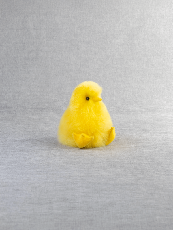 Little Yellow Chicken - 3 Pack