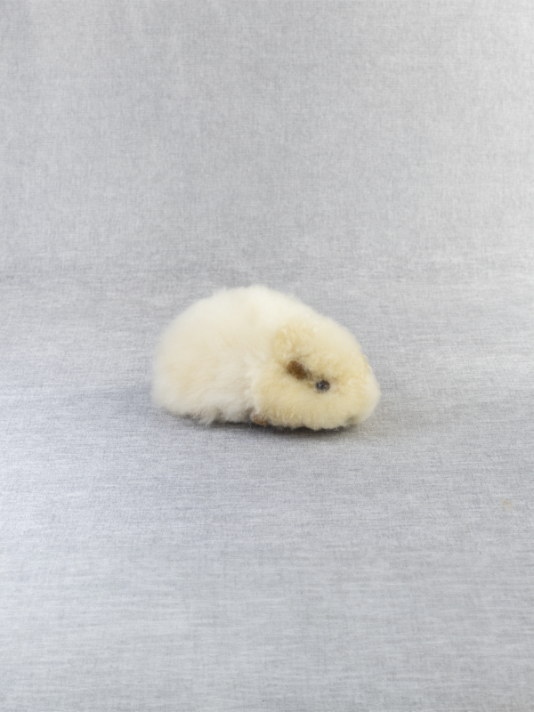 Alpaca Guinea  Pig 7" - 6 Pack - Image 4