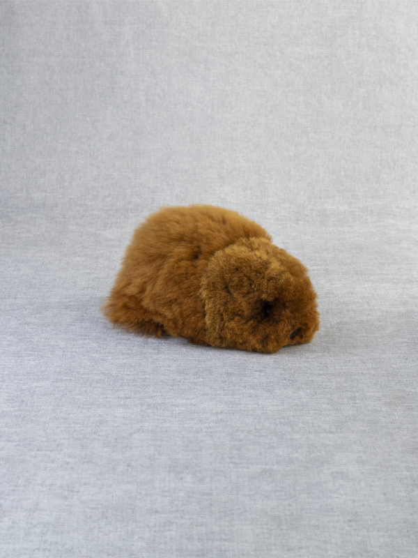 Alpaca Guinea  Pig 7" - 6 Pack - Image 2
