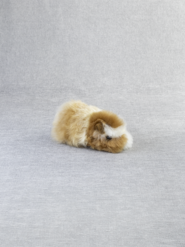 Alpaca Guinea  Pig 7" - 6 Pack - Image 3