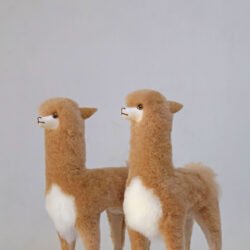 standing-vicuna-9